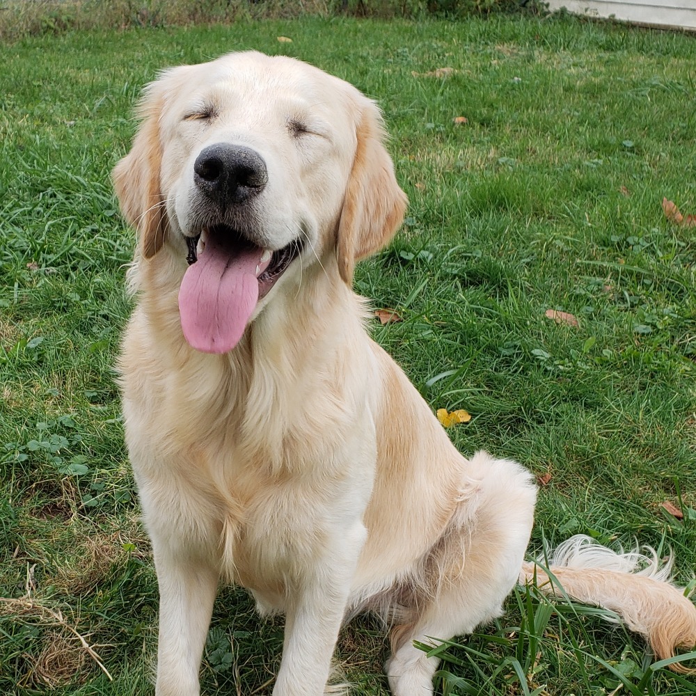 Meet your Posher, Stephenie